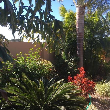 בואוון Bluewater Harbour Motel מראה חיצוני תמונה